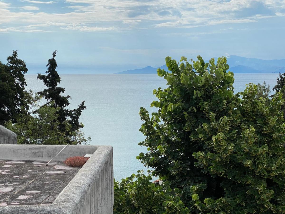 Irini Seaside Apartment Palaiontsiflikion Bagian luar foto