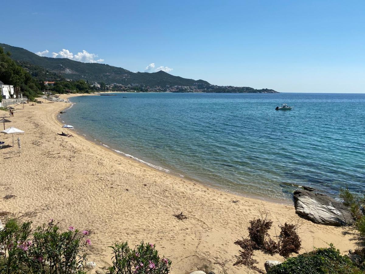 Irini Seaside Apartment Palaiontsiflikion Bagian luar foto